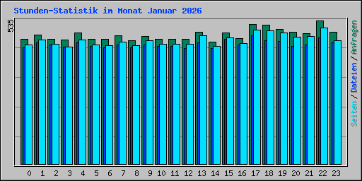 Stunden-Statistik im Monat Januar 2026